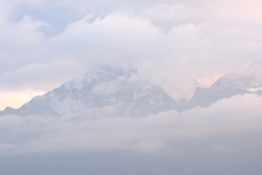 BP2MI Austria: Peluang dan Tantangan Pekerja Migran Indonesia di Eropa Tengah