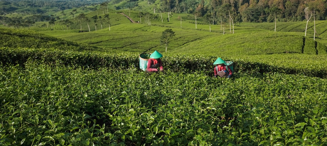Badan Pelindungan Pekerja Migran Indonesia: Peran dan Tantangan